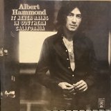 画像: Albert Hammond / It Never Rains In Southern California