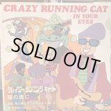 画像: 星川薫とザ・メロン・ホーカーズ / Crazy Running Cat