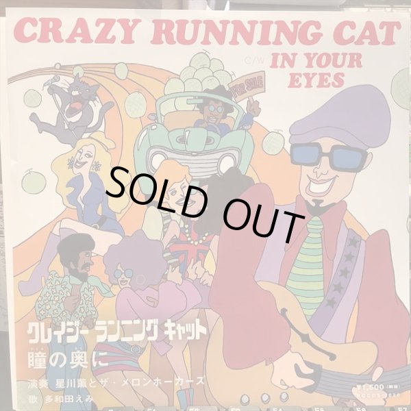 画像1: 星川薫とザ・メロン・ホーカーズ / Crazy Running Cat (1)
