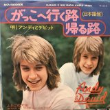 画像: Andy & David Williams / がっこへ行く路帰る路