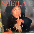 画像1: Sheila E. / Koo Koo (1)