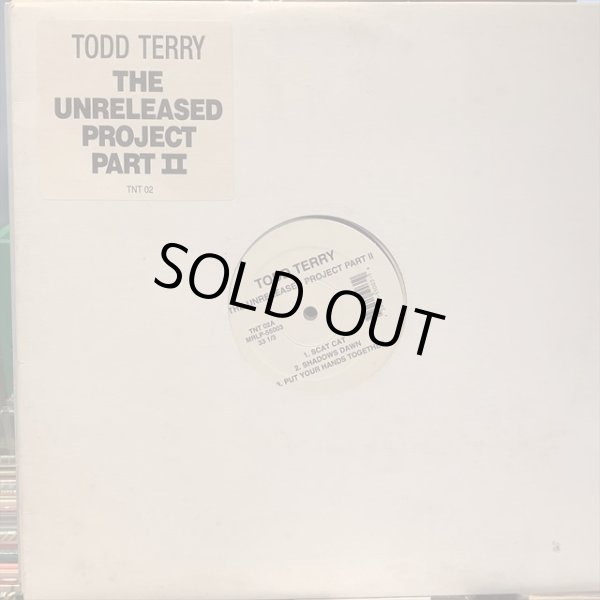 画像1: Todd Terry / The Unreleased Project Part II  (1)