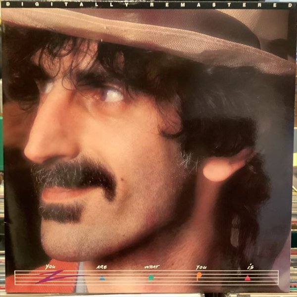 画像1: Frank Zappa / You Are What You Is (1)