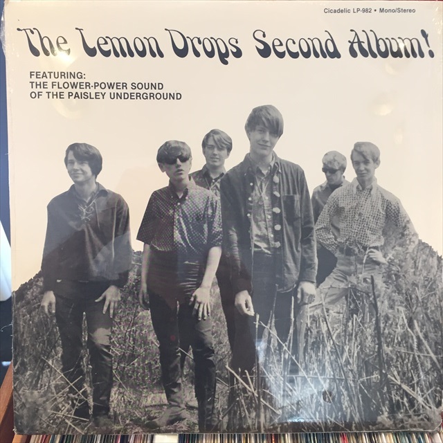 画像1: The Lemon Drops / The Lemon Drops Second Album! (1)