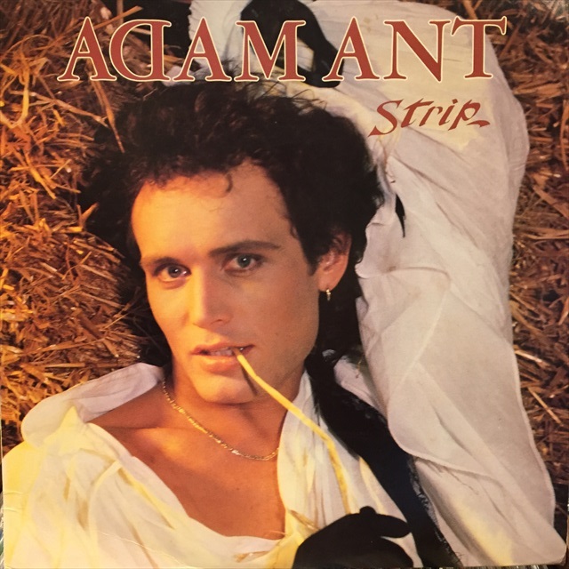 画像1: Adam Ant / Strip (1)