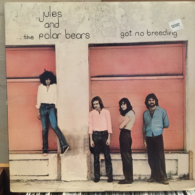 画像1: Jules And The Polar Bears / Got No Breeding (1)