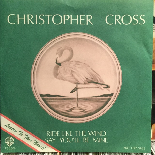 画像1: Christopher Cross / Ride Like The Wind (1)