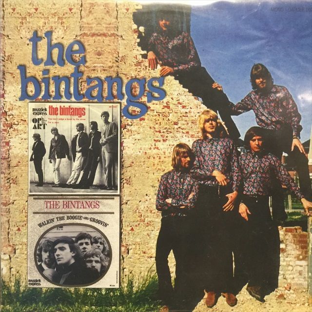 画像1: The Bintangs / The Bintangs (1)