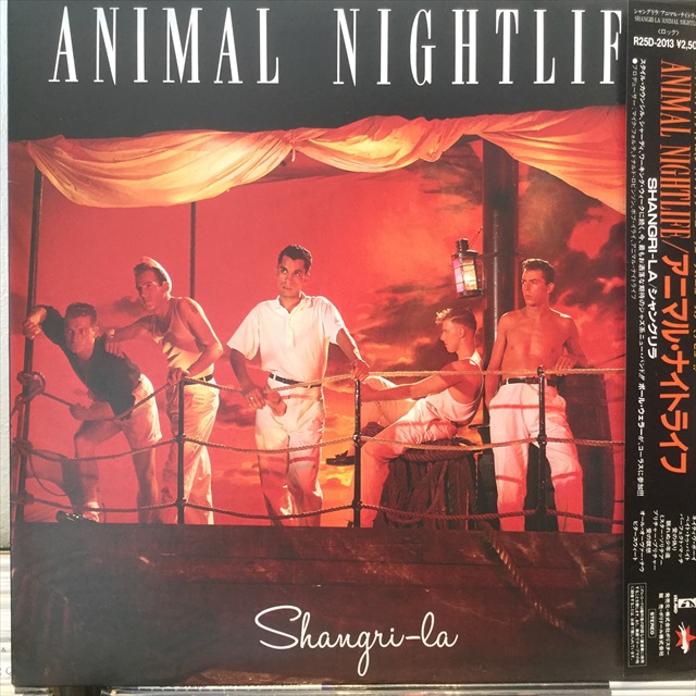 画像1: Animal Nightlife / Shangri-La (1)