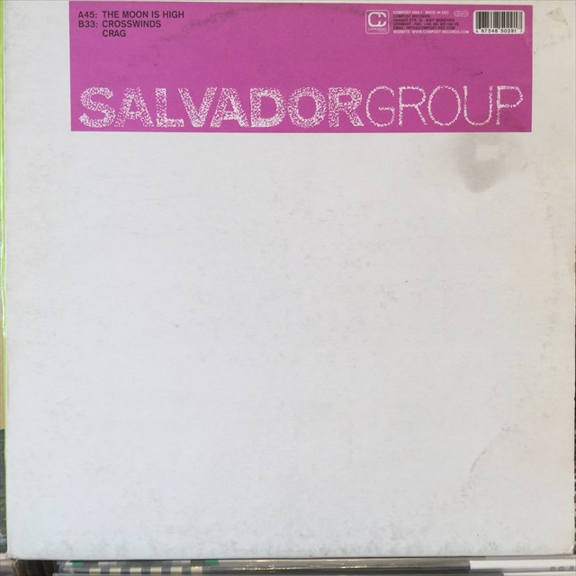 画像1: Salvador Group / The Moon Is High (1)