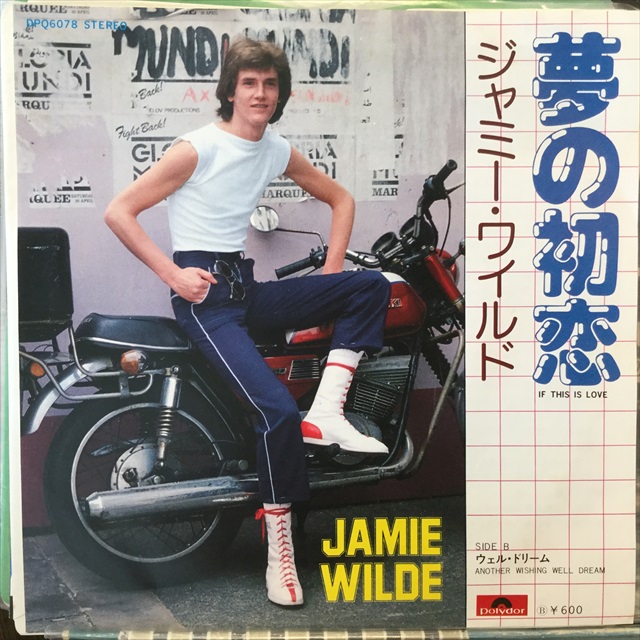 画像1: Jamie Wilde / If This Is Love (1)