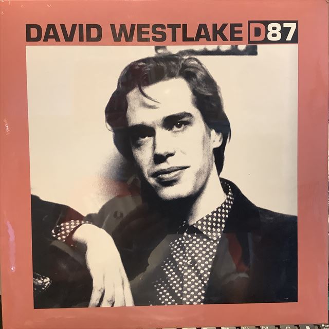 画像1: David Westlake / D87 (1)