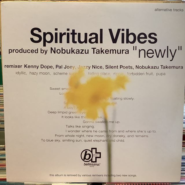 画像1: Spiritual Vibes / Newly - Alternative Tracks (1)